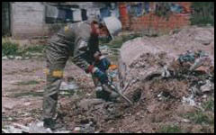 Desratizacion